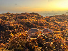 Load image into Gallery viewer, The ALICIA - LINDA FARROW x EYE Q limited edition sunglasses
